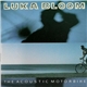 Luka Bloom - The Acoustic Motorbike